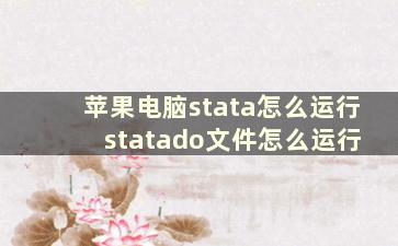 苹果电脑stata怎么运行 statado文件怎么运行